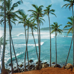 GALLE TO MIRISSA